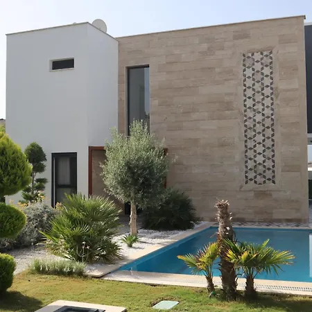 Dream Pool- Garage